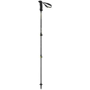 Backcountry Carbon 2.0 Poles