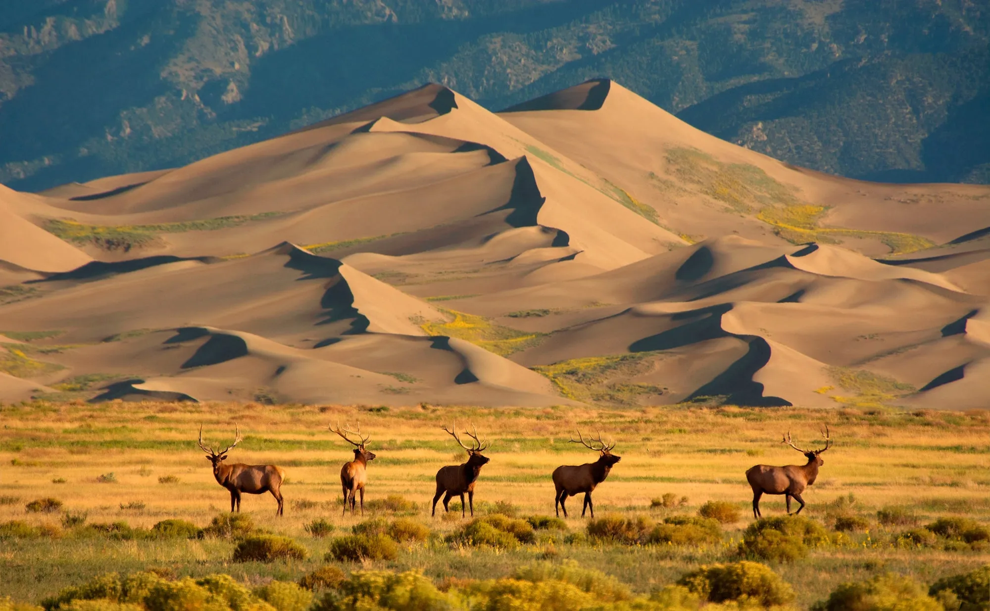 Gestalten - The Parklands - Trails and Secrets from the National Parks of the United States